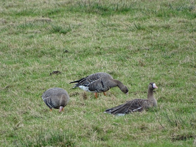 递给了每一 递给了每一