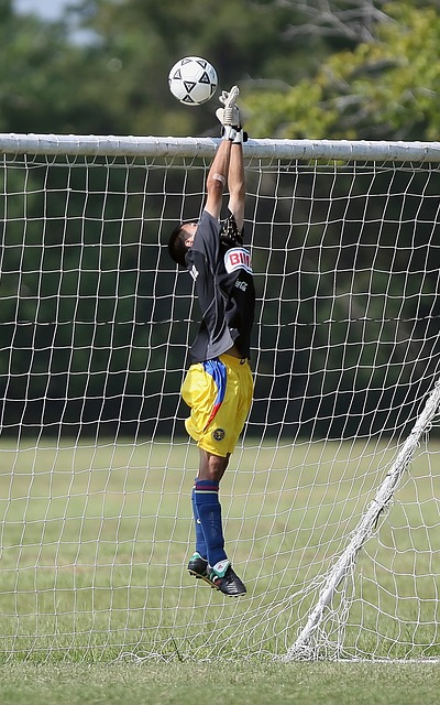 现和未来发 现和未来发